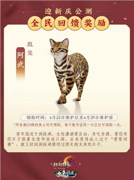 天龙八部私服 重生戒指